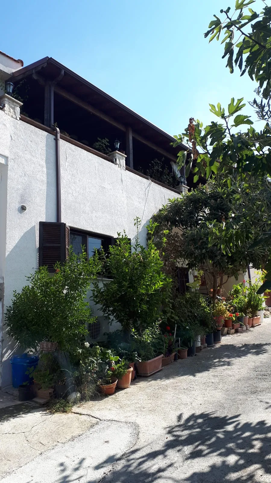 Ακίνητο 2010195 Άρσος, Λεμεσός 23