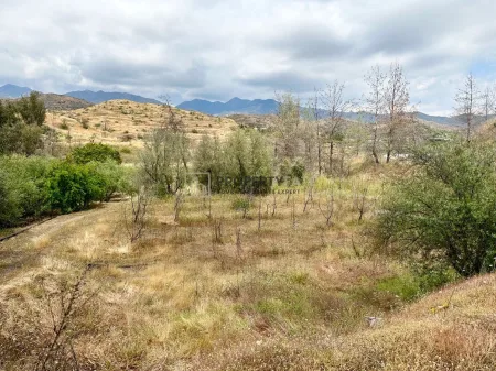 ארץ כפרית למכירה