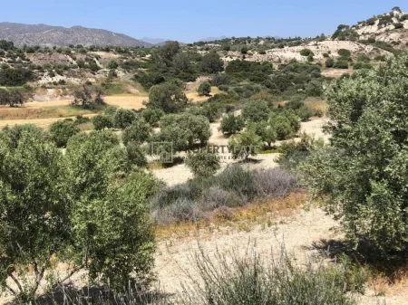 ארץ כפרית למכירה