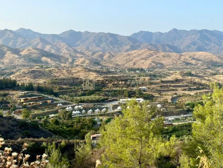 אפטגוניה, לימסול