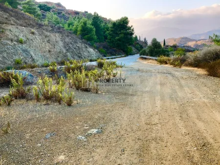 ארץ כפרית למכירה