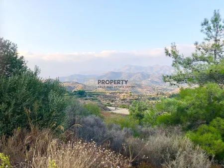 ארץ כפרית למכירה