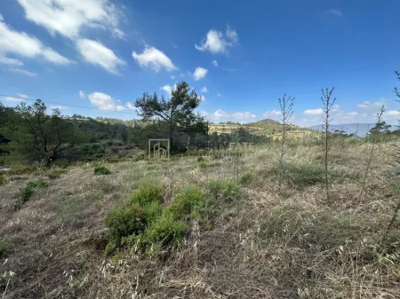 Ländliches Land zum Kauf