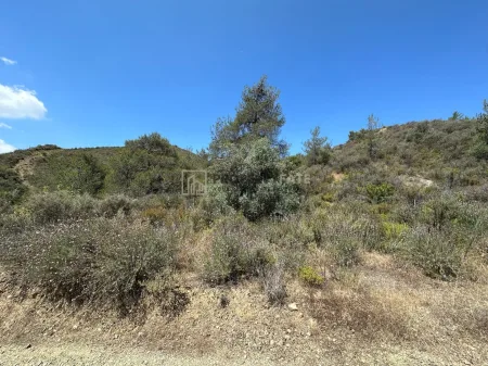 Ländliches Land zum Kauf