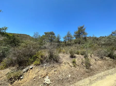 Ländliches Land zum Kauf