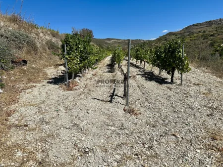 Ländliches Land zum Kauf