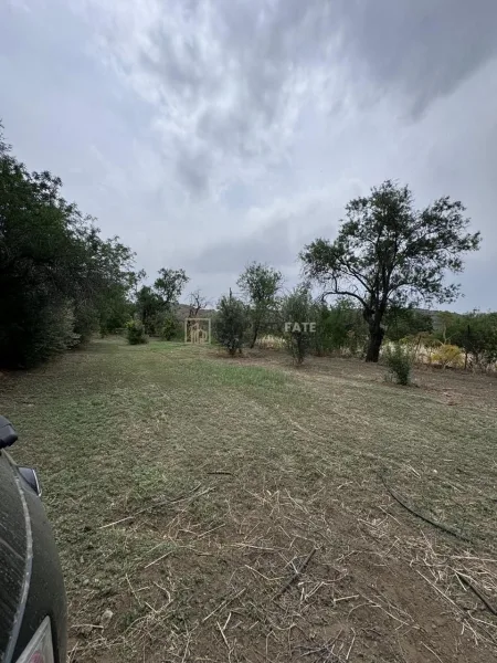 Ora, Larnaka
