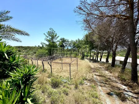 Casa Unifamiliar en venta