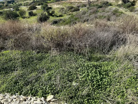 Terreno Residencial en venta