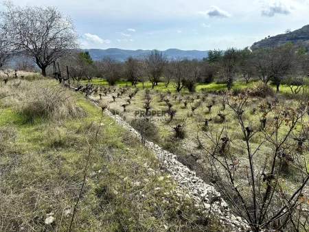 Ländliches Land zum Kauf