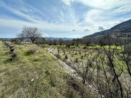 Ländliches Land zum Kauf