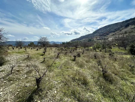 Ländliches Land zum Kauf