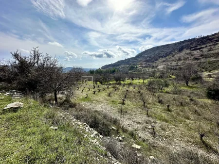 Ländliches Land zum Kauf