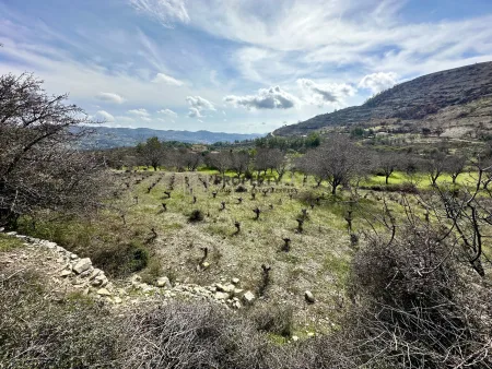 Ländliches Land zum Kauf