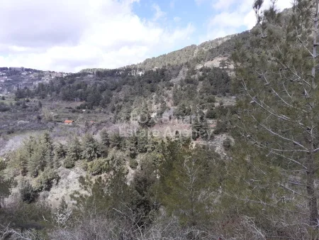 Prodromos, Limassol