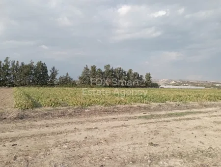 Residential Land for sale
