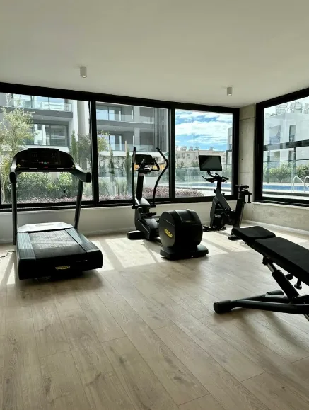 Penthouse for sale