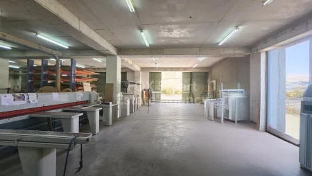 Industrial en venta