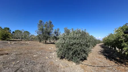 Οικιστικό Οικόπεδο προς πώληση