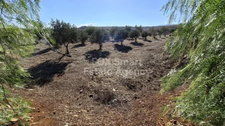 Οικιστικό Οικόπεδο προς πώληση