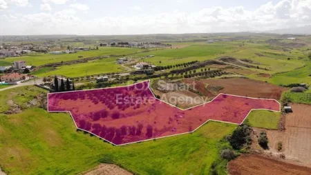 Terreno Residenziale in vendita