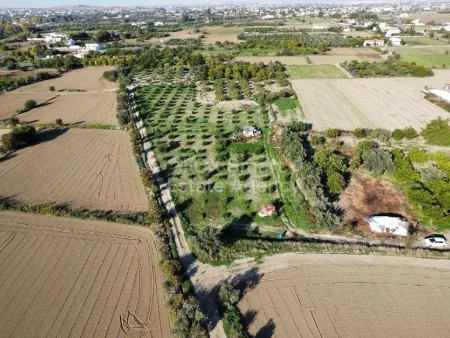 Rural Land