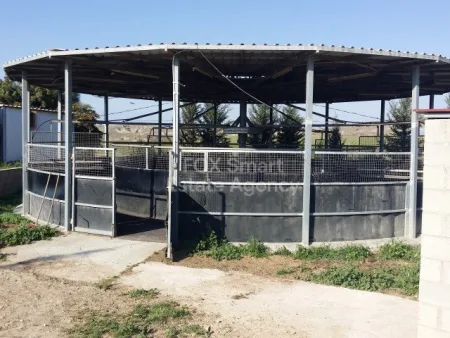 Vendita al dettaglio in vendita