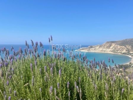 Edificio en alquiler