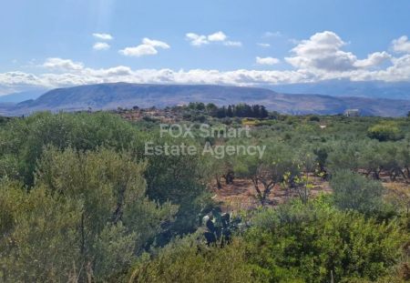 Terres rurales à vendre