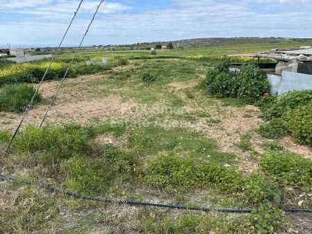 Terreni rurali in vendita