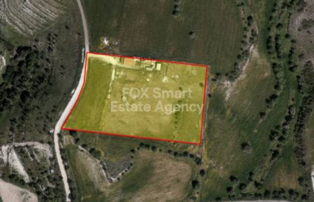 אנאריטה, פאפוס