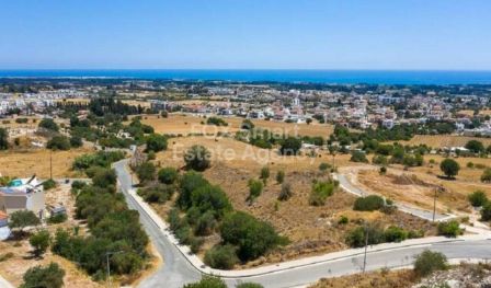 אנאריטה, פאפוס