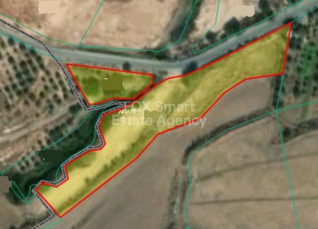 אנאריטה, פאפוס