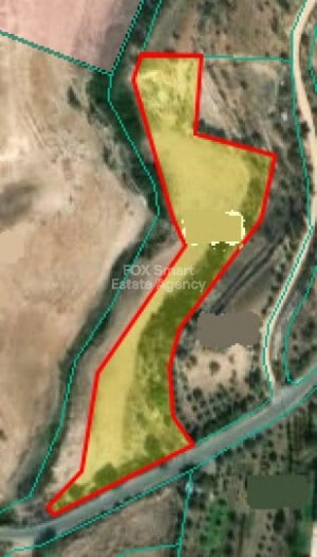 אנאריטה, פאפוס