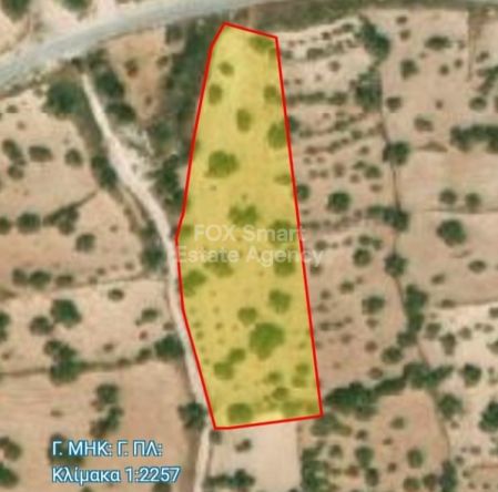 ארץ כפרית למכירה