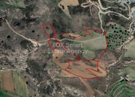 ארמו, פאפוס