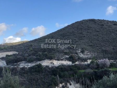 Wiejskie grunty na sprzedaż