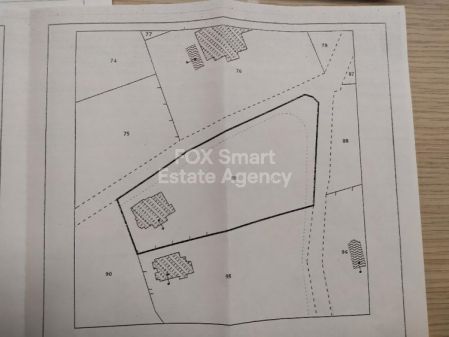 כלוראקה, פאפוס