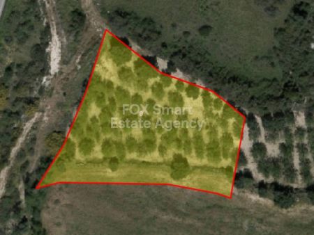 Сельские земли