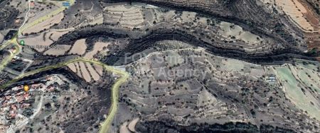 דורה, לימסול