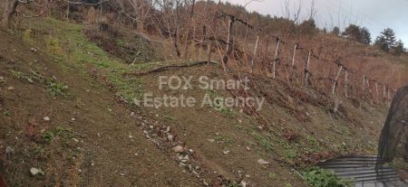 ארץ כפרית למכירה