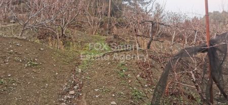 ארץ כפרית למכירה