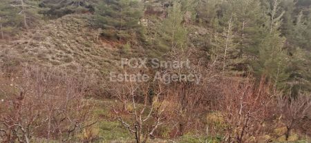 ארץ כפרית למכירה