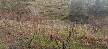 ארץ כפרית למכירה