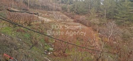 ארץ כפרית למכירה