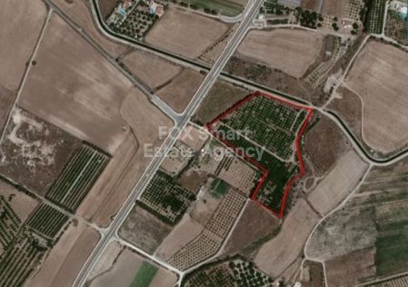 Terreni rurali in vendita