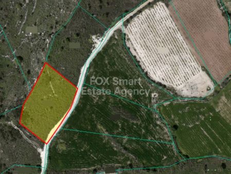 קאטהיקאס, פאפוס