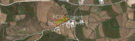 קאטהיקאס, פאפוס