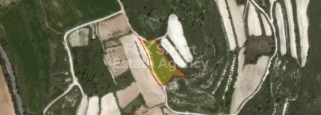 ארץ כפרית למכירה