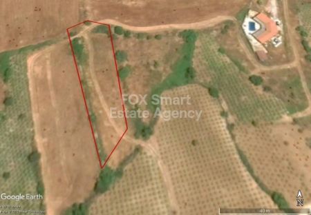 Terreni rurali in vendita